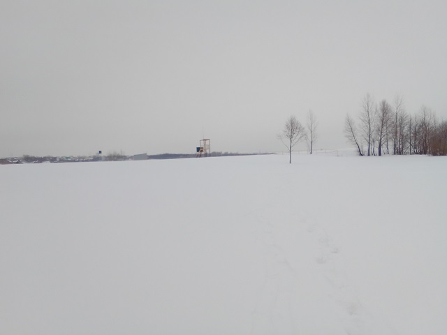 02_2022-01-25.jpg 02_2022-01-25.jpg